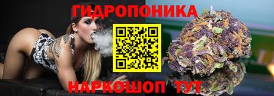 шишки Белореченск