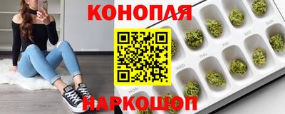 дмт Ачхой-Мартан