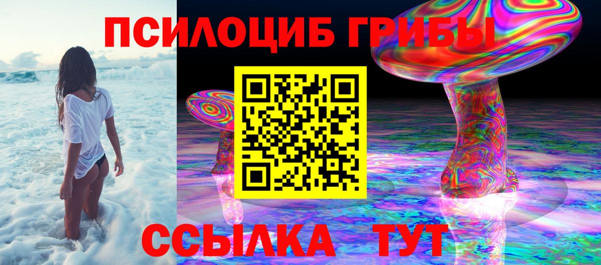 Псилоцибиновые грибы мицелий Воткинск